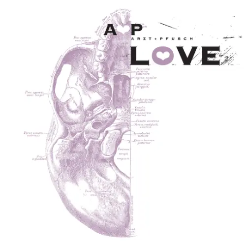 album cover of 'Arzt+Pfusch- Love'